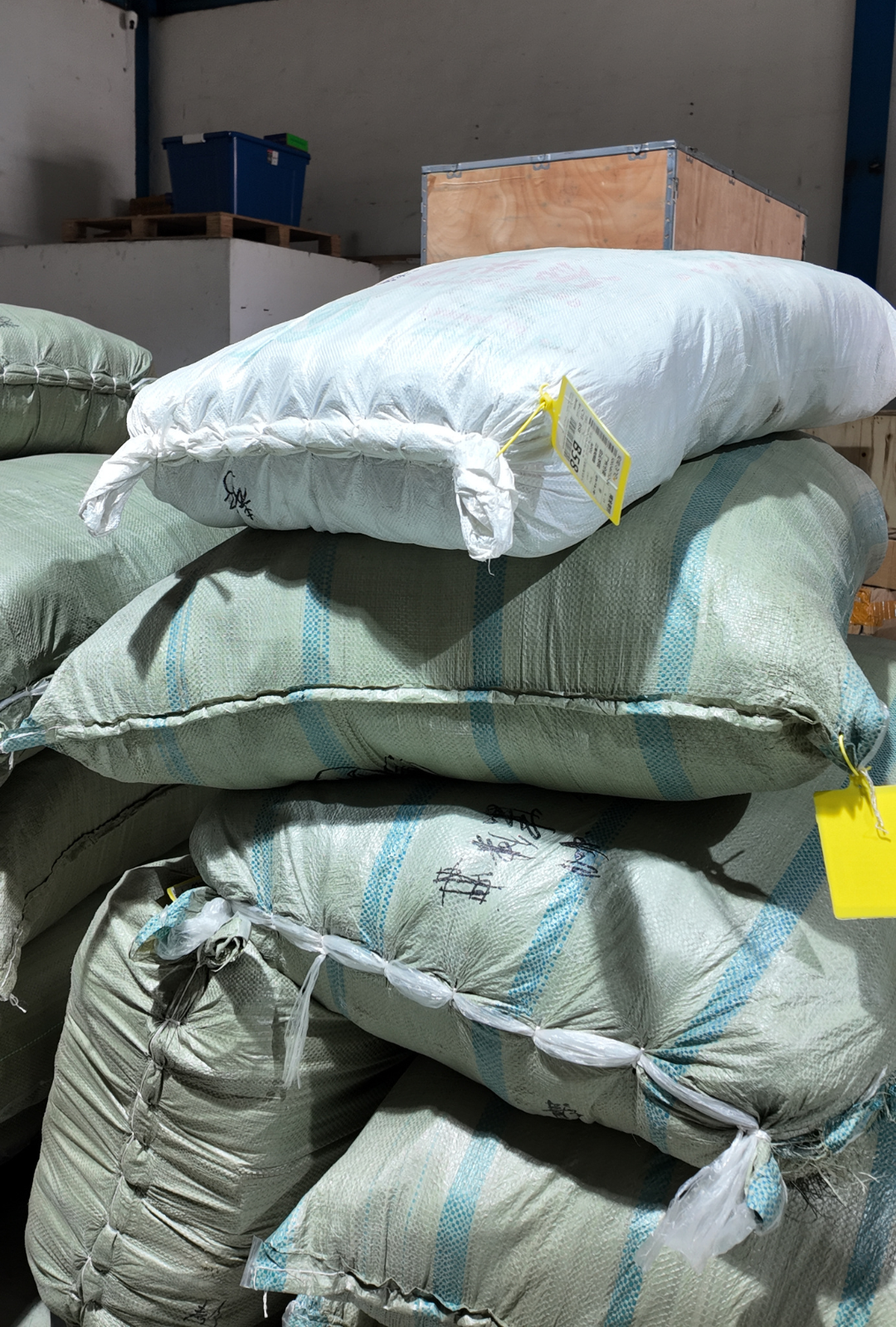รีวิวนำเข้าสินค้าจากจีน Pacred Shipping